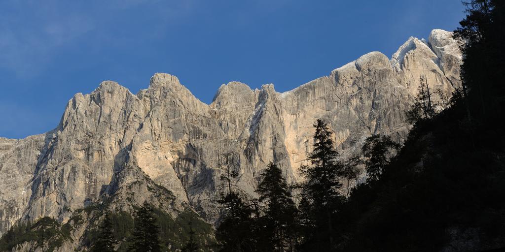 Gasthof Dorfwirt Ardning Екстериор снимка